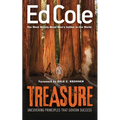 Treasure: Uncovering Principles That Govern Success