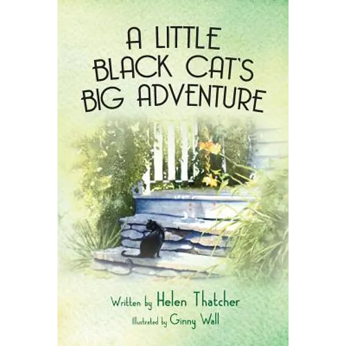 A Little Black Cat's Big Adventure