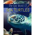 The Epic World Of Sea Turtles