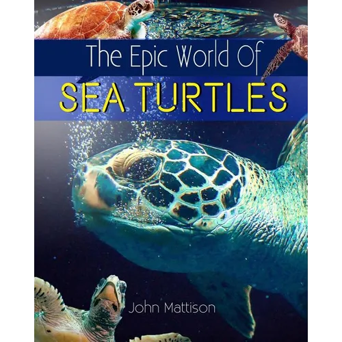The Epic World Of Sea Turtles