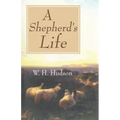 A Shepherd's Life