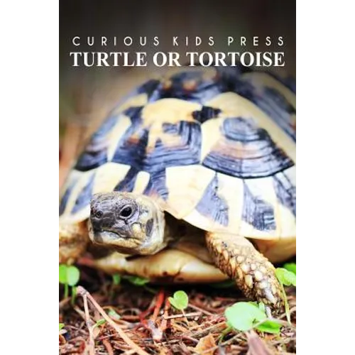 Turtle Or Tortoise - Curious Kids Press: Kids book about animals and wildlife, Children's books 4-6
