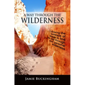 A Way Through the Wilderness: Following the footsteps of Moses find the way through your personal wilderness.