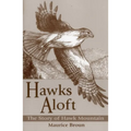 Hawks Aloft