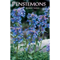 Penstemons