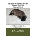 Irish Wolfhound From Puppy to Adult: A Basic Guide to Understanding This Giant Breed