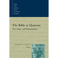 The Bible at Qumran: Text, Shape, and Interpretation