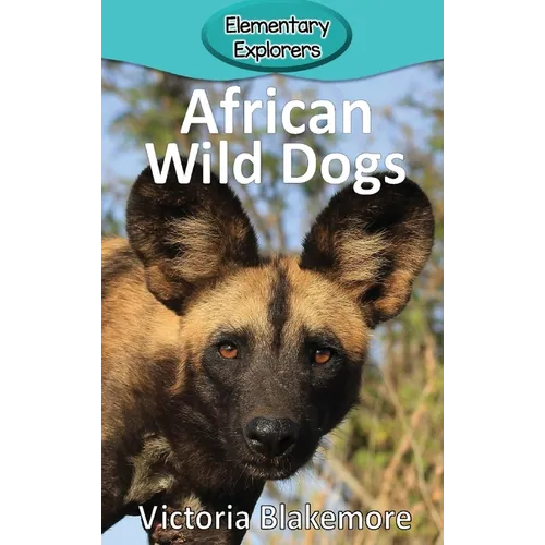 African Wild Dogs