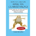 How to Care for African Clawed Frogs