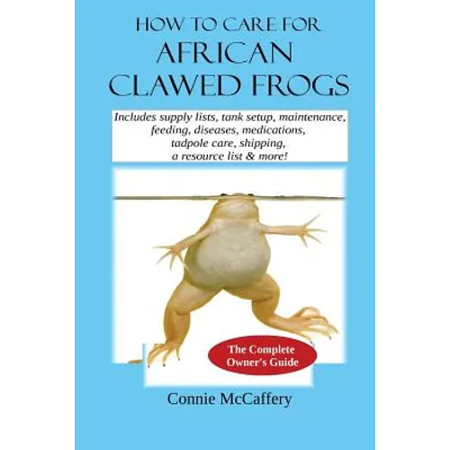 How to Care for African Clawed Frogs