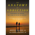 Anatomy of Addiction