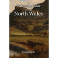 A Pedestrian Tour through North Wales in a Series of Letters
