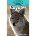 Coyotes