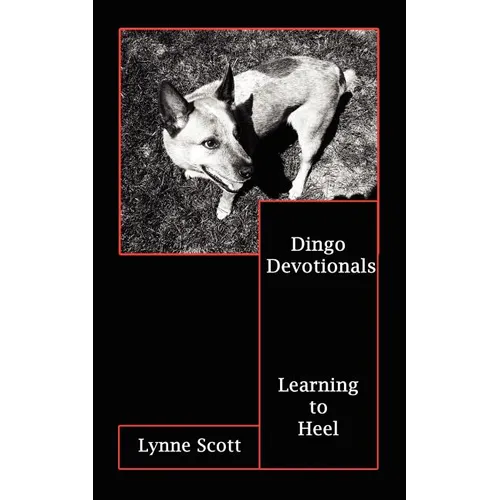 Dingo Devotionals: Learning to Heel