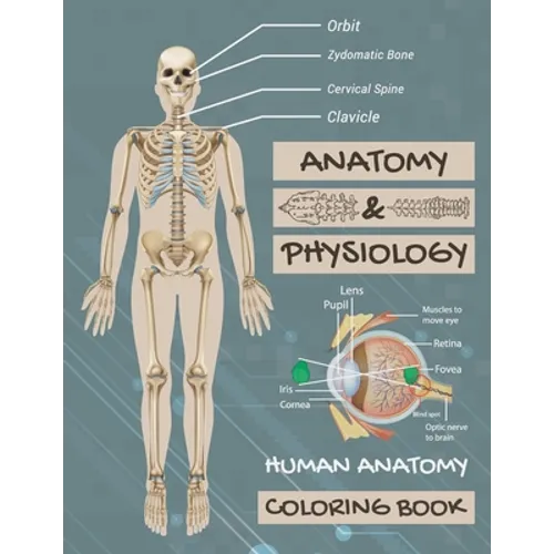 Anatomy & Physiology: Human Anatomy Coloring Book: Human Body Coloring Book, The Anatomy Of Coloring Book.