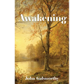 Awakening: And Indian Summer of a Forstye