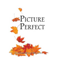 Picture Perfect
