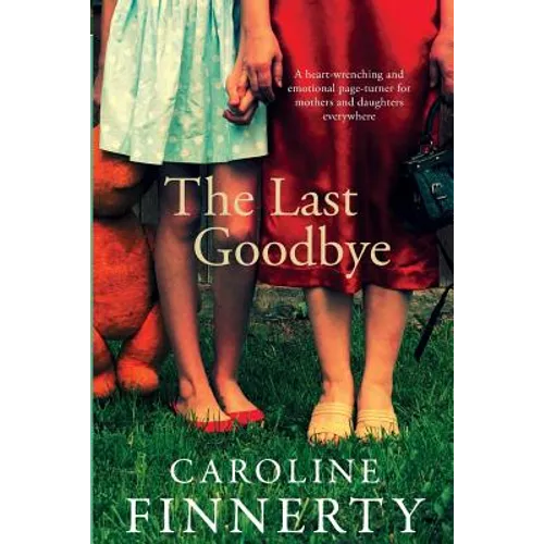 The Last Goodbye
