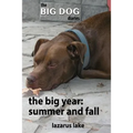 The Big Year - Summer and Fall