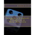 Insurance Company Financial & Risk Analysis