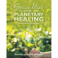 Genius Ideas for Planetary Healing: With Visionary Meditations