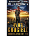 Divided We Fall: A Novel of the Coming Civil War in America