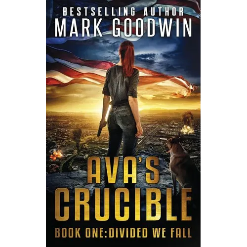 Divided We Fall: A Novel of the Coming Civil War in America