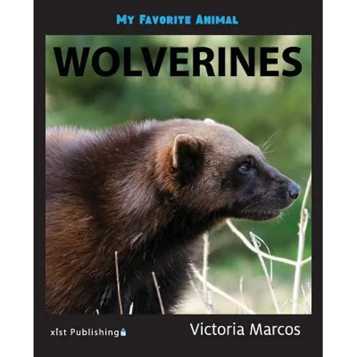 My Favorite Animal: Wolverines