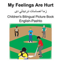 English-Pashto My Feelings Are Hurt Children's Bilingual Picture Book