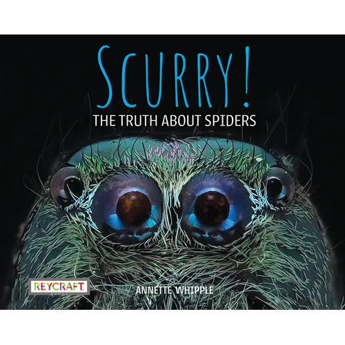 Scurry! the Truth about Spiders