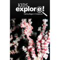 Camouflage In Creatures - Kids Explore: Animal books nonfiction - books ages 5-6