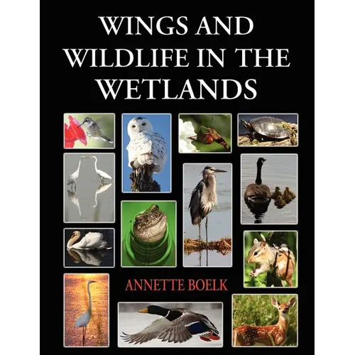 Wings and Wildlife in the Wetlands