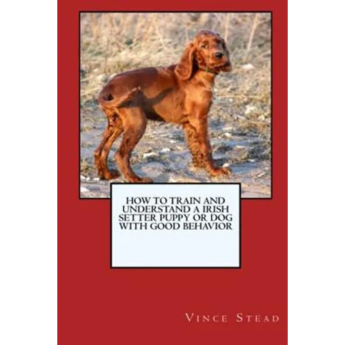 How to Train and Raise a Irish Setter Puppy or Dog with Good Behavior
