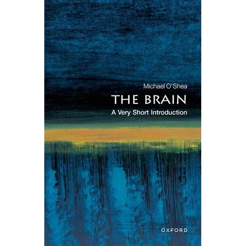 The Brain: A Very Short Introduction