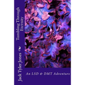 Tumbling Through Eternity: An LSD & DMT Adventure