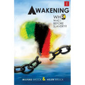 The Awakening; Who was I before slavery?