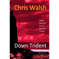 Down Trident: when peaceful protest becomes violent