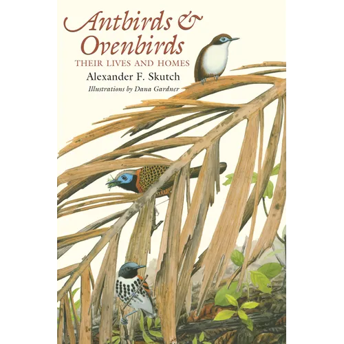Antbirds and Ovenbirds: Their Lives and Homes