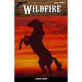 Wildfire