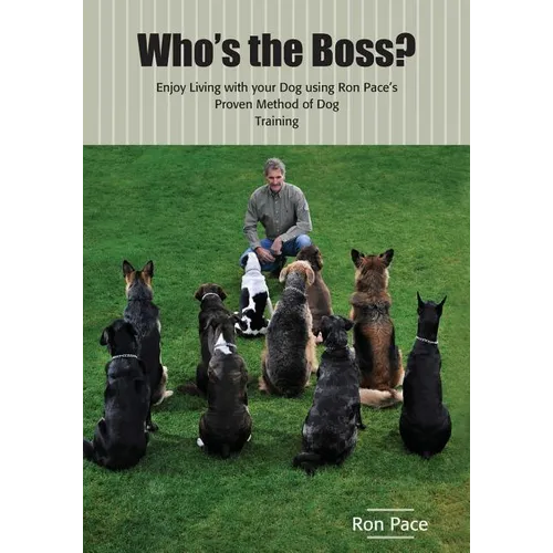 Who's the Boss?