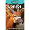 Bongos