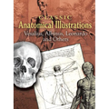 Classic Anatomical Illustrations: Vesalius, Albinus, Leonardo and Others