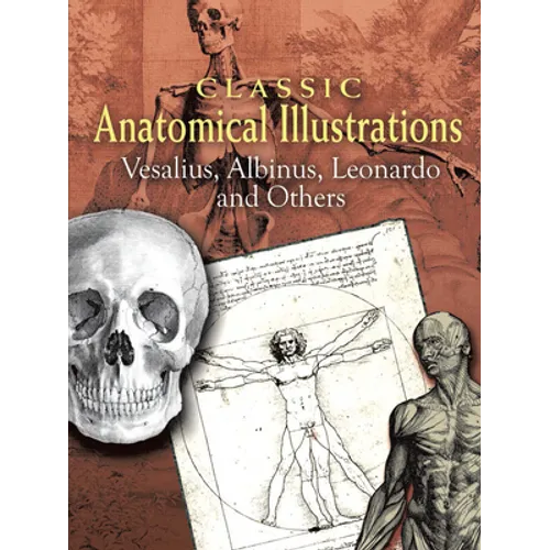 Classic Anatomical Illustrations: Vesalius, Albinus, Leonardo and Others