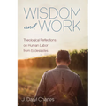 Wisdom and Work: Theological Reflections on Human Labor from Ecclesiastes