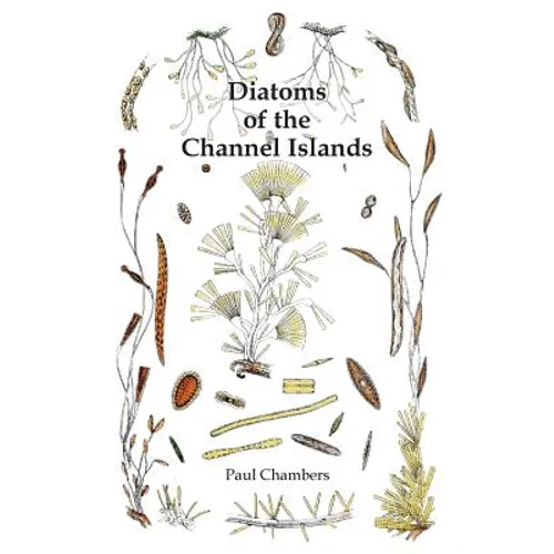 Diatoms of the Channel Islands