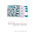 Not By Genes Alone: How Culture Transformed Human Evolution
