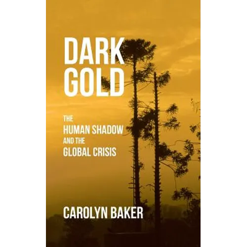 Dark Gold: The Human Shadow and the Global Crisis