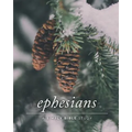 Ephesians: A Simply Bible Study