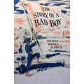 The Story of a Bad Boy