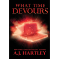 What Time Devours